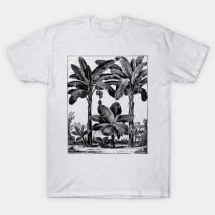 Vintage Banana Trees T-Shirt